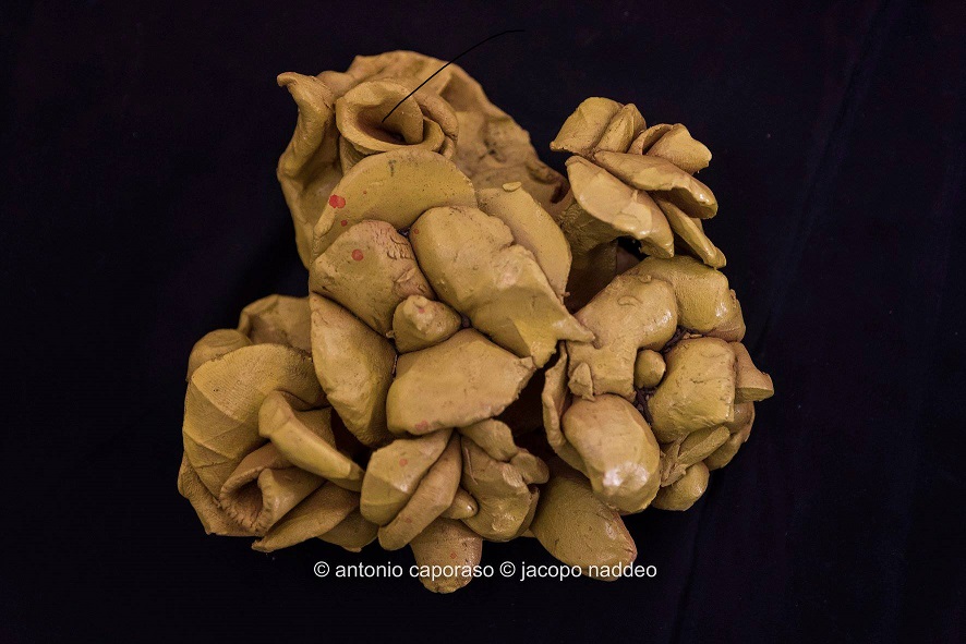 Manufatto realizzato dai ragazzi della Fondazione Sinapsi durante il laboratorio di psicologia della percezione